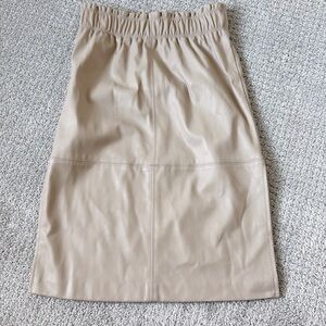 Ann Taylor Petite Women's Skirt